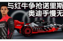 开云官网-红牛车队翻盘威廉姆斯，诺里斯关键制胜的简单介绍