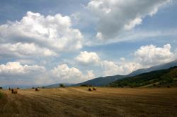 开云体育下载-小贾伦掌控风云，火箭对阵上海队，他如何一手主导比赛走势？