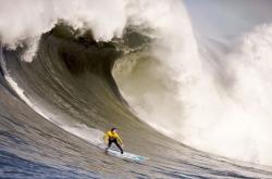 开云体育平台APP-当传奇在最后一刻诞生，灰熊的坚韧与东契奇的统治之夜