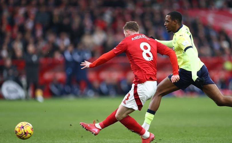 布莱顿客场战平对手，保持不败