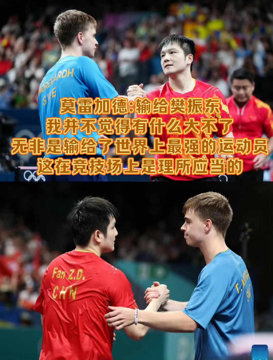 关于奥地利乒乓球队碾压日本乒乓球队，樊振东打破历史纪录的信息