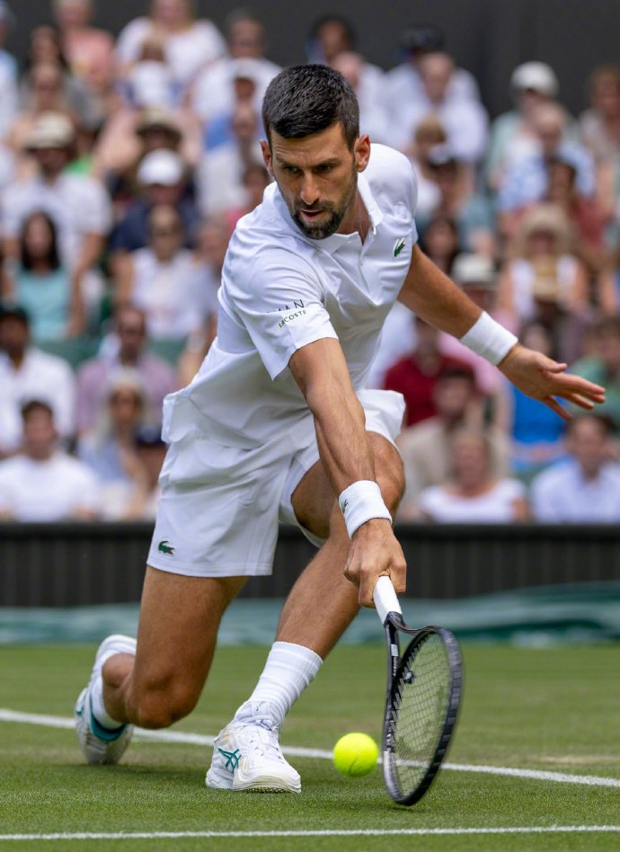 西班牙网球队爆冷日本网球队，德约科维奇惊艳世界的简单介绍