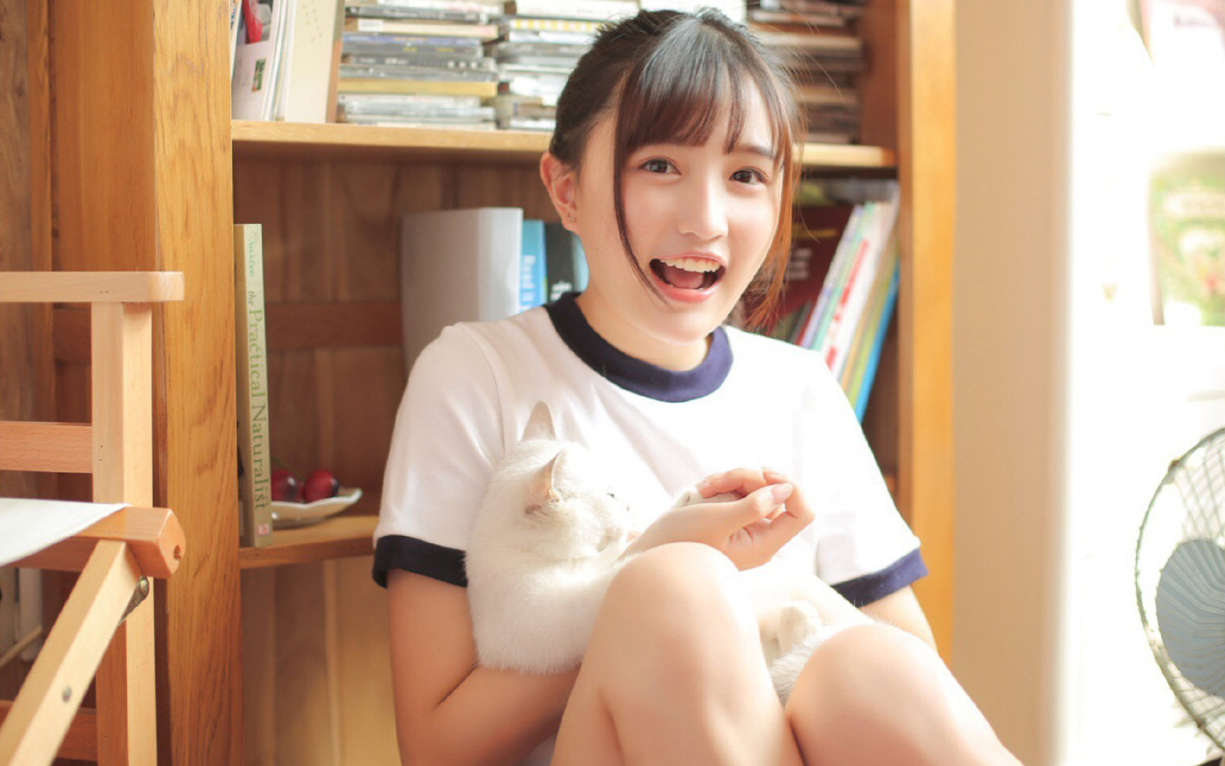 绿白风暴席卷北境,贝蒂斯式铁血击溃苏格兰,哈兰德季后赛抢七的终极接管艺术