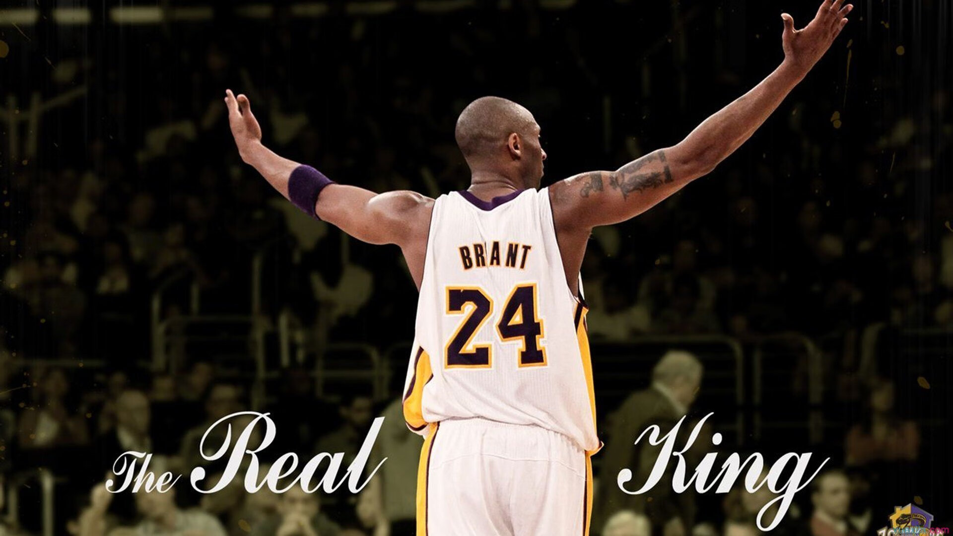 赛道与球场的双重奏,当F1争冠焦点遇上开拓者铁血防守